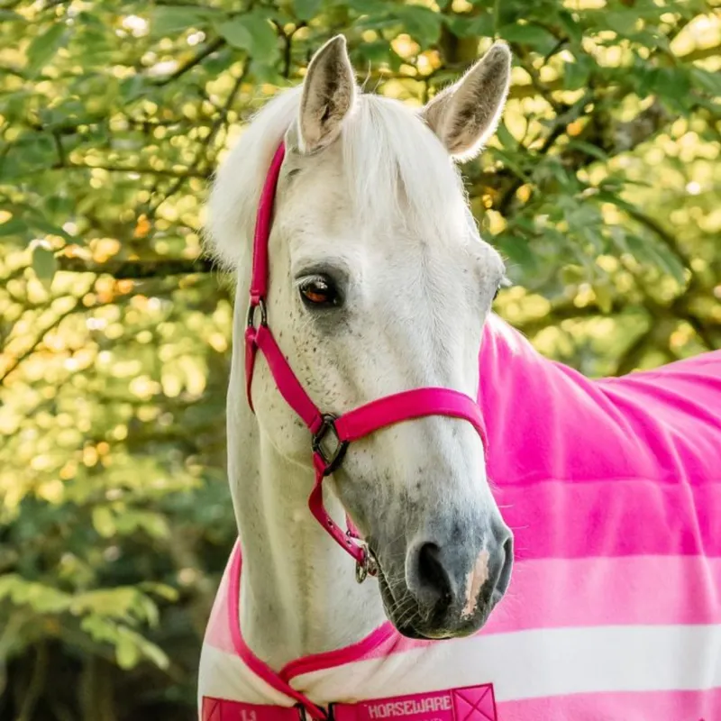 Horseware Newmarket Headcollar and Leadrope - Witney Pink-3