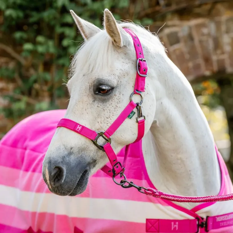 Horseware Newmarket Pony Fleece Cooler - Witney Pink-2