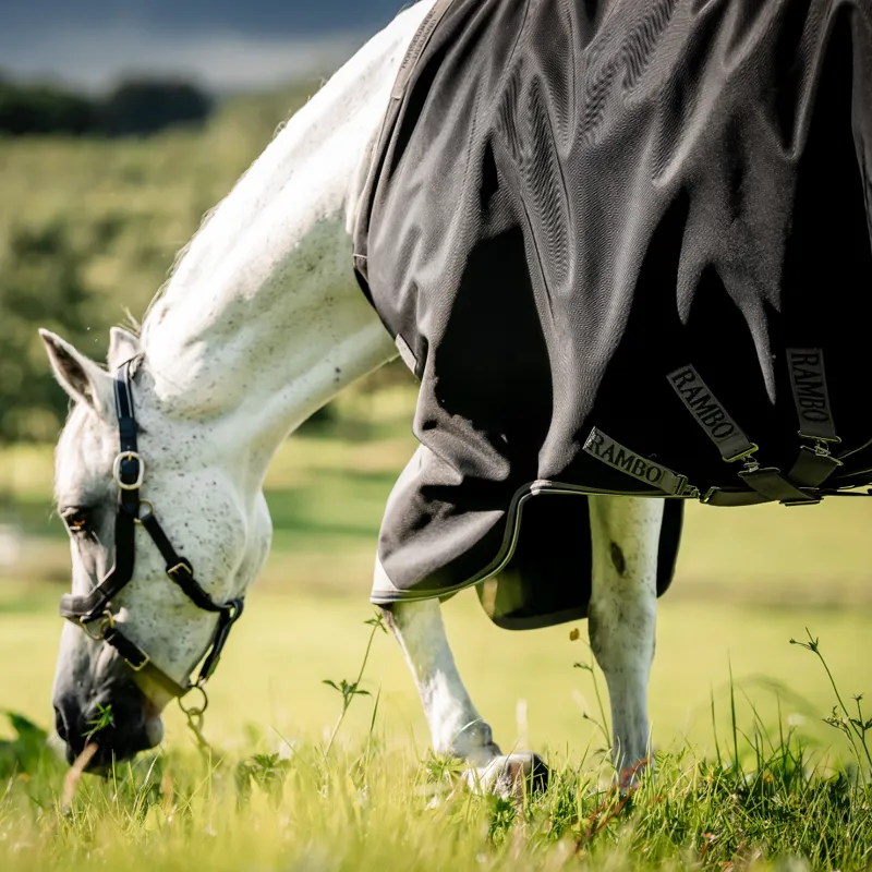Horseware Rambo 1680D Turnout 250g VL - Black/Thunderstorm Grey Silver-6