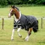 Horseware Amigo 1200D Turnout Rug 50g - Black/Titanium Grey Silver