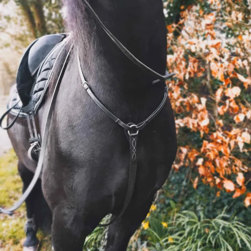 Cameo Core Hunt Breastplate - Black