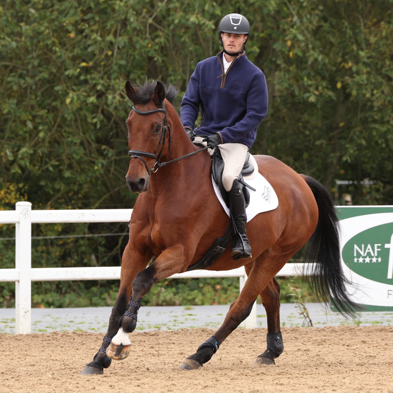 Aubrion Core Half Zip Fleece - Gents - Blue-5