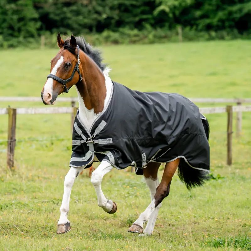 Horseware Amigo 1200D Turnout 100g - Black/Titanium Grey Silver