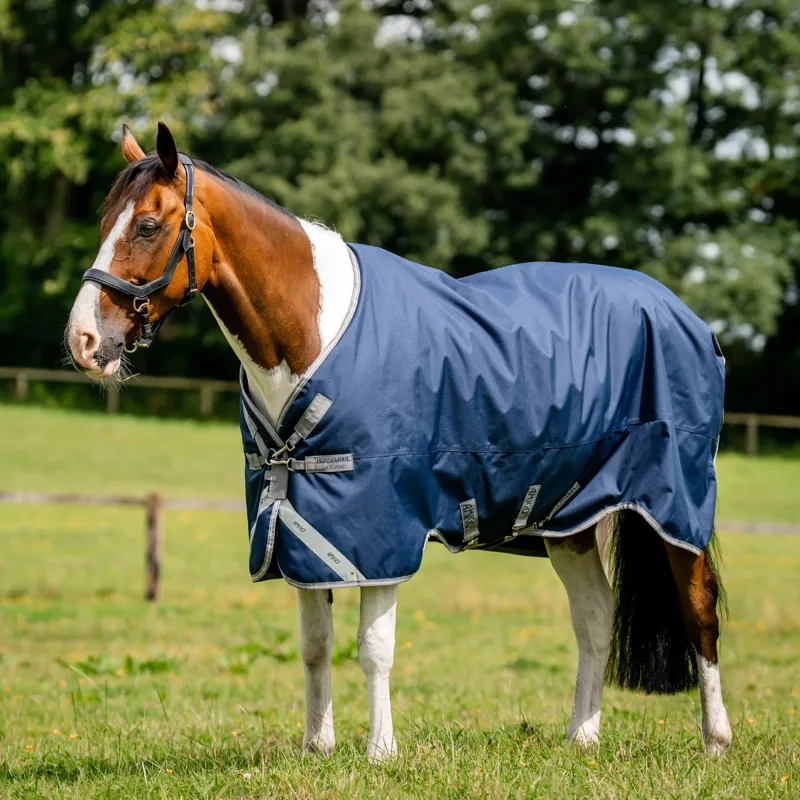 Horseware Amigo 1200D Turnout 100g - Navy/Titanium Grey Silver