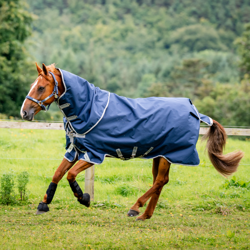Horseware Amigo 1200D Plus Turnout Rug 50g - Navy/Titanium Grey Silver