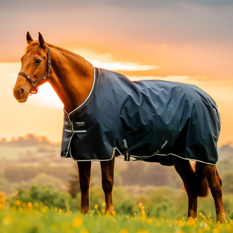 Horseware Amigo Ripstop 900D Turnout Rug 200g - Witney Navy