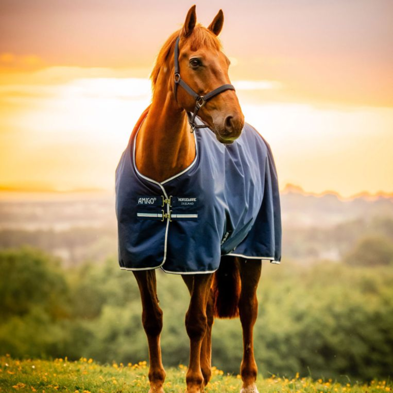 Horseware Amigo Ripstop 900D Pony Turnout Rug 0g - Witney/Navy