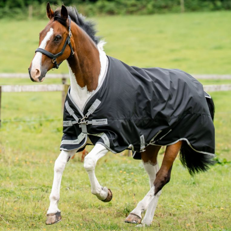 Horseware Amigo 1200D XL Turnout Rug 50g - Black/Titanium Grey Silver