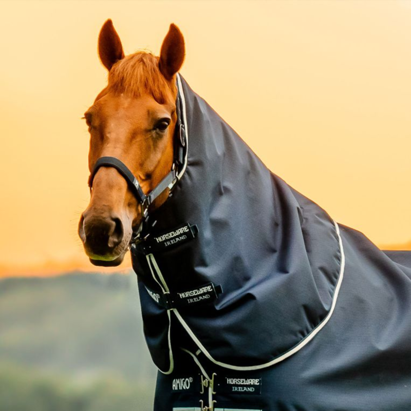 Horseware Amigo Ripstop 200g 900D Plus Pony Turnout Rug - Witney Navy-4