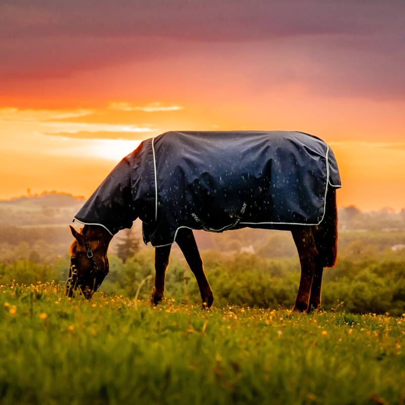 Horseware Amigo Ripstop 900D Plus Turnout Rug 200g - Witney Navy-6