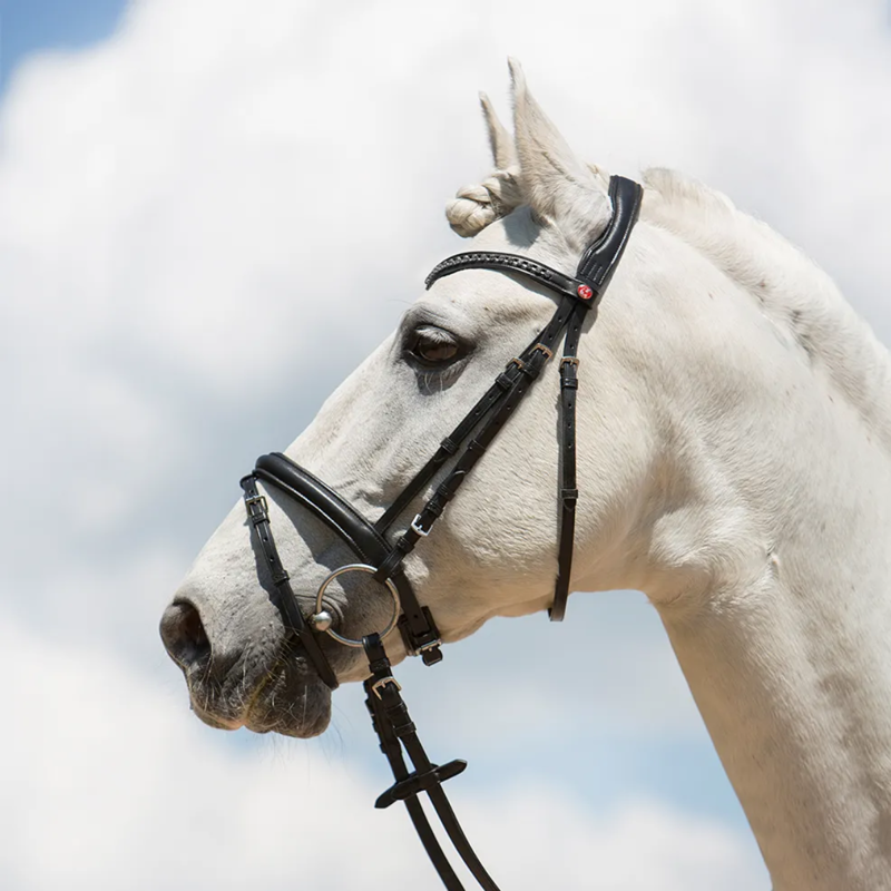 Kieffer Ultrasoft Fashion Snaffle Bridle - Black-2