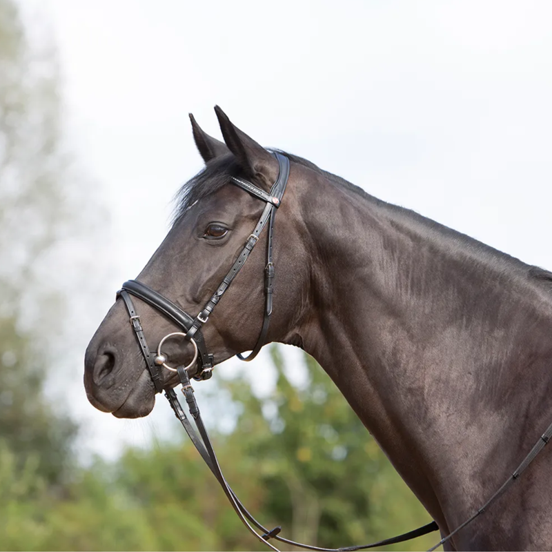 Kieffer Ultrasoft Snaffle Bridle - Black-2
