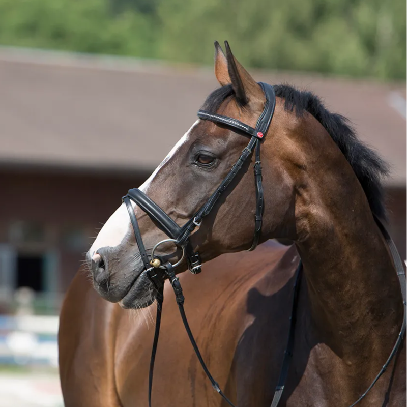 Kieffer Ultrasoft Snaffle Bridle - Black-1