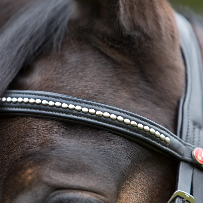 Kieffer Ultrasoft Snaffle Bridle - Black-6