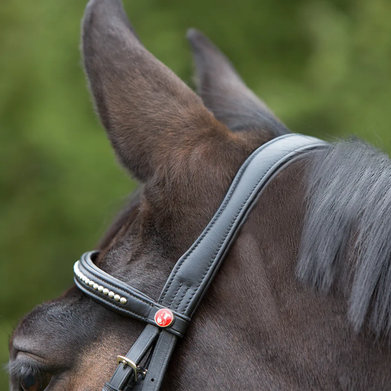 Kieffer Ultrasoft Snaffle Bridle - Black-5