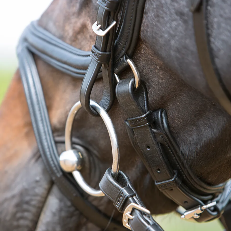 Kieffer Ultrasoft Tara Snaffle Bridle - Black-3