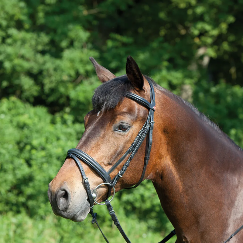Kieffer Ergonomic Line Snaffle Bridle - Black-1