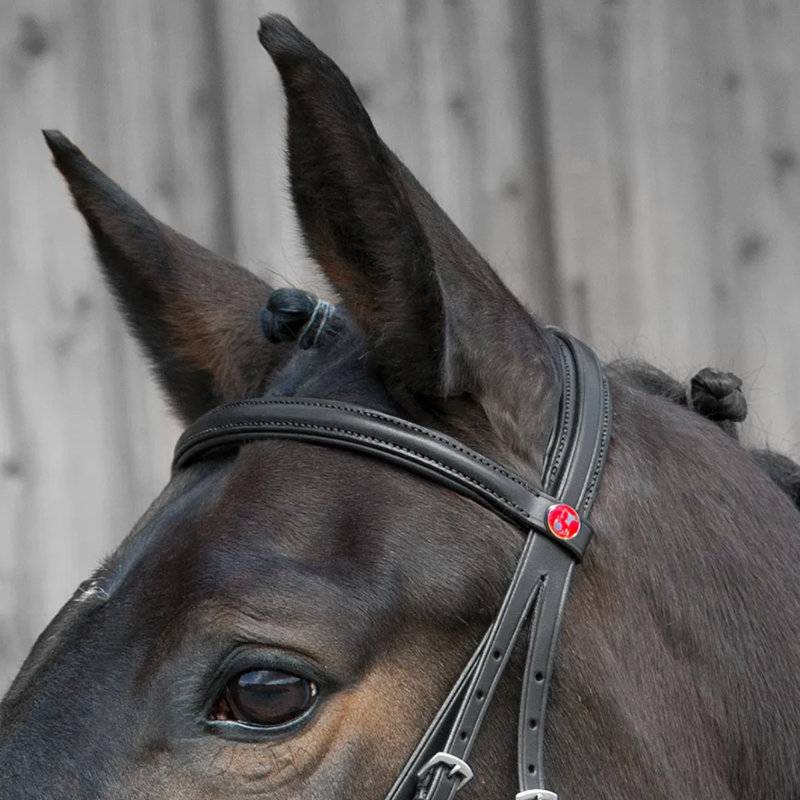 Kieffer Ergonomic Line III Snaffle Bridle - Black-3