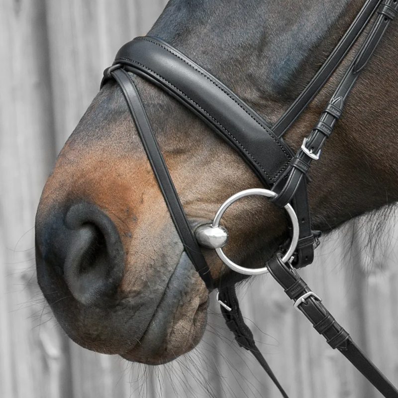 Kieffer Ergonomic Line III Snaffle Bridle - Black-2