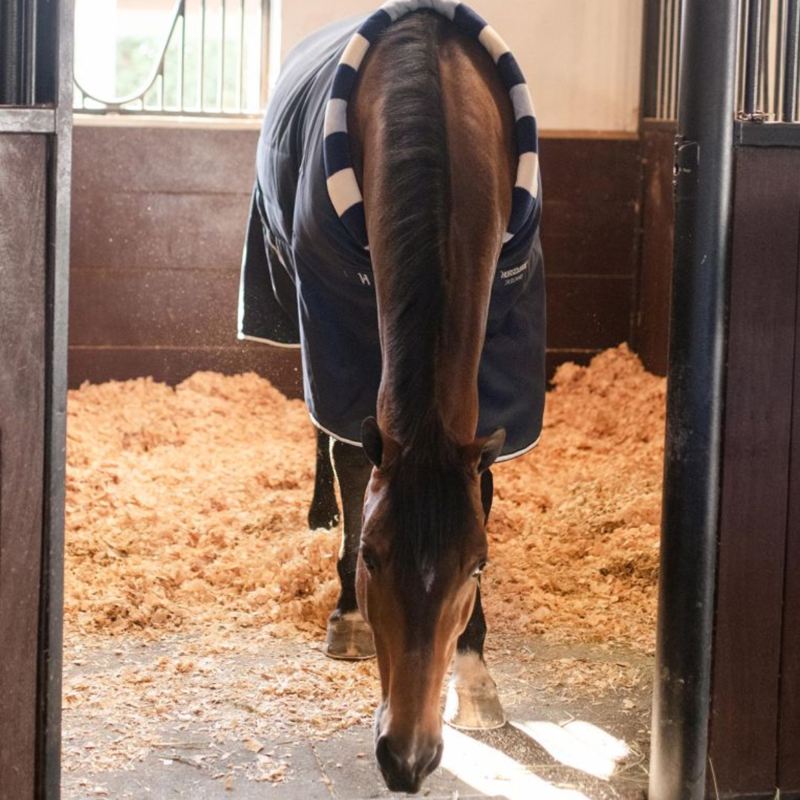 Horseware Newmarket 200g Cosy Stable Rug - Witney Navy-6
