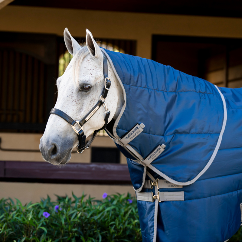 Horseware Amigo Ripstop Insulator 200g Stable Hood - Navy/Titanium Grey