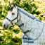 Horseware Newmarket Fly Sheet Hood - Witney Navy