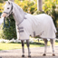 Horseware Amigo Bug Rug Pony Fly Sheet - Silver/Titanium Grey Silver