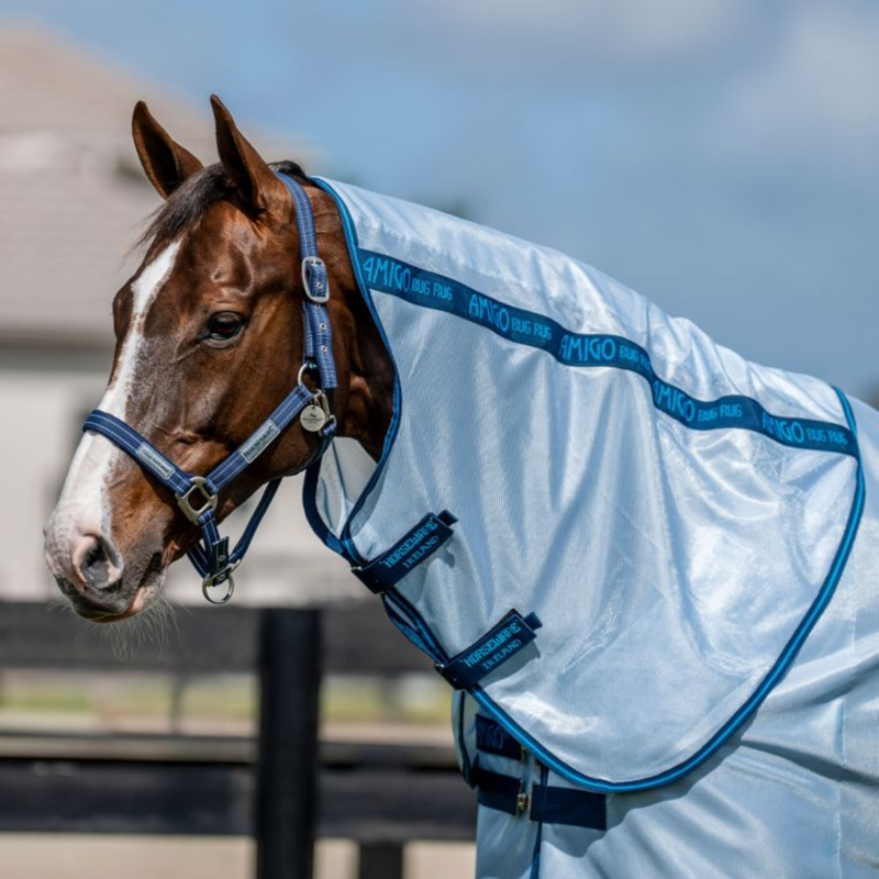 Horseware Amigo Bug Rug Plus Fly Sheet - Azure Blue/Navy Electric Blue-1