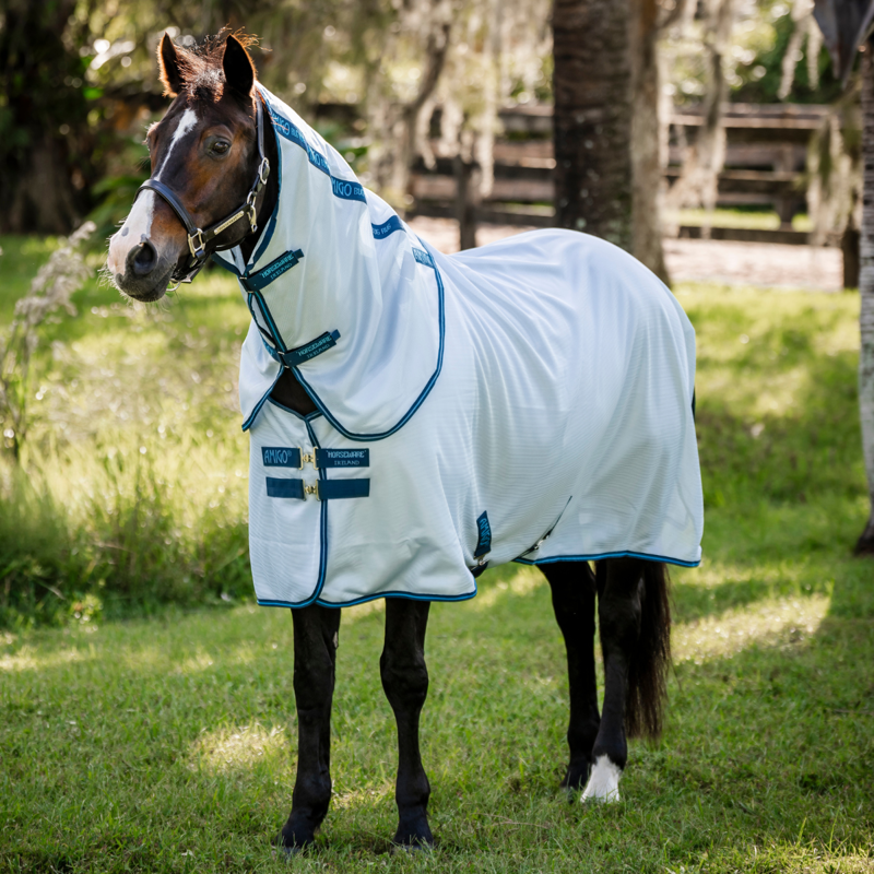 Horseware Amigo Bug Rug XL Plus Fly Sheet - Azure Blue/Navy Electric Blue
