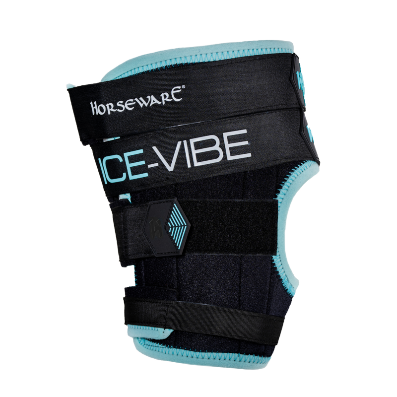 Horseware Ice-Vibe Hock Wrap - Black/Aqua