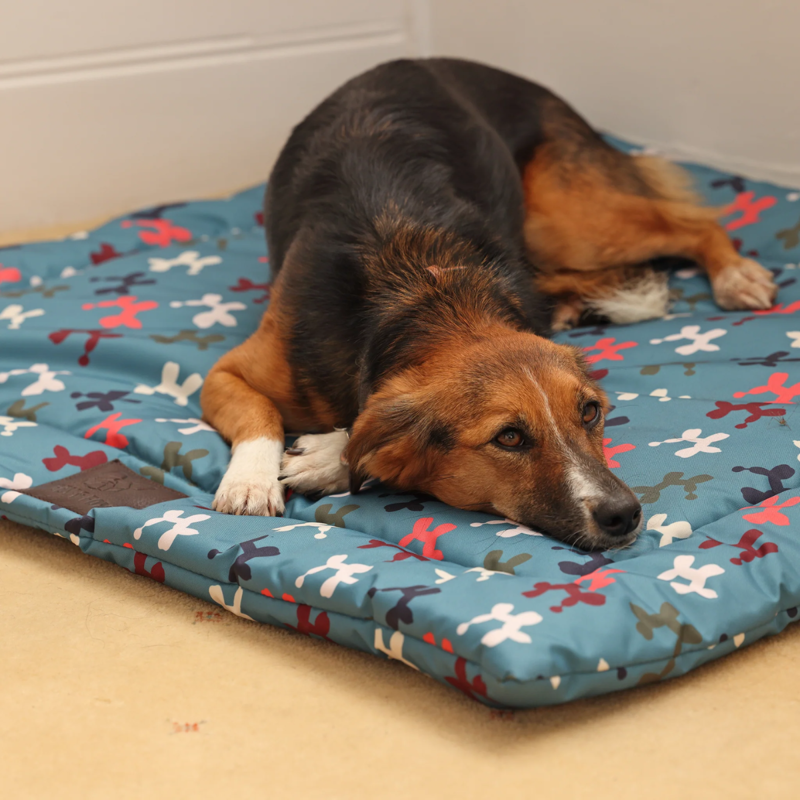 Shires Digby and Fox Waterproof Padded Dog Bed - Balloon Dog-2