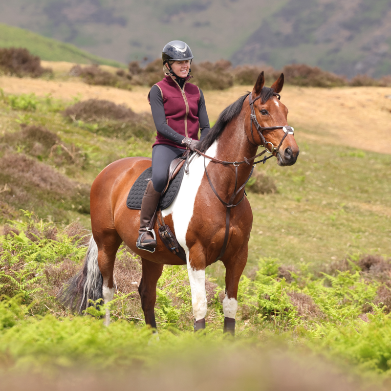 Aubrion Core Fleece Gilet - Maroon-10