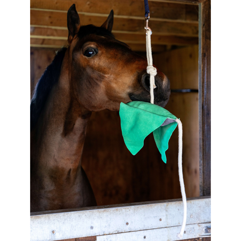 LeMieux Horse Toy - Stingray-2