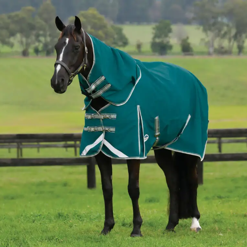 WeatherBeeta ComFiTec Plus Dynamic II Detach-A-Neck Lite Turnout Rug - Green/Stone/Teal Green
