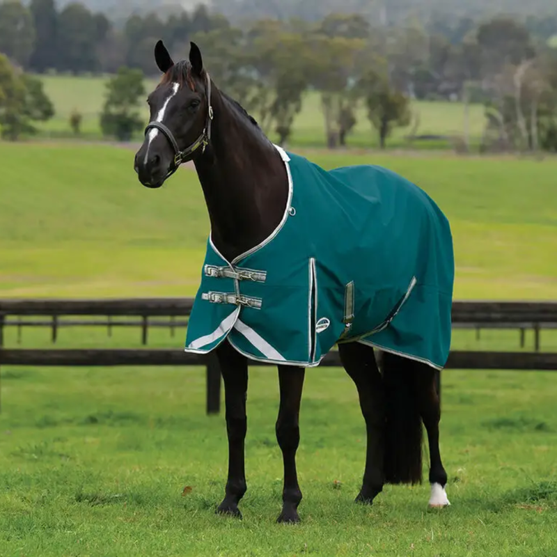 WeatherBeeta ComFiTec Plus Dynamic II Standard Neck Lite Turnout Rug - Green/Stone/Teal Green