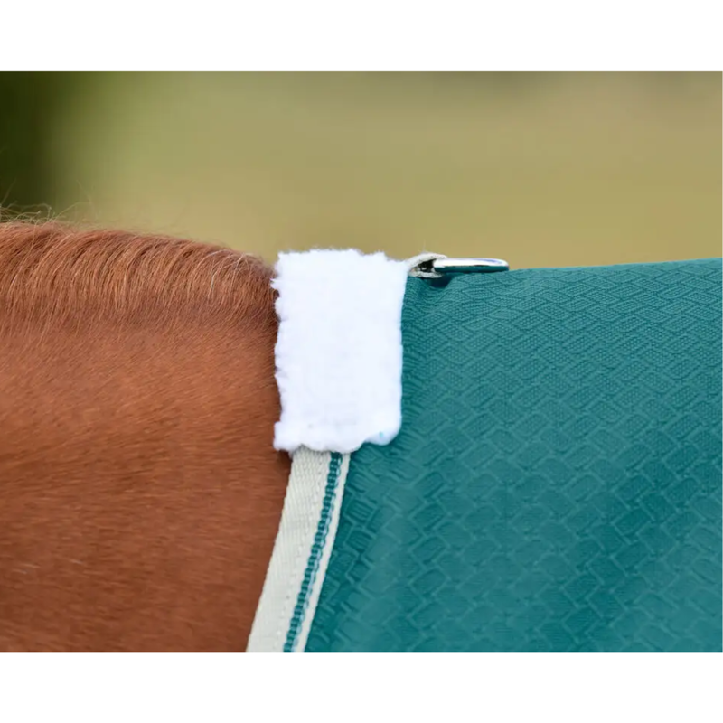 WeatherBeeta ComFiTec Plus Dynamic II Standard Neck Lite Turnout Rug - Green/Stone/Teal Green-1