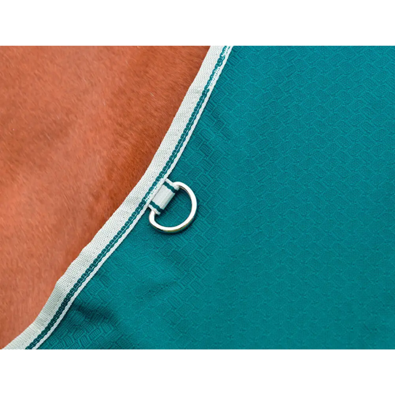 WeatherBeeta ComFiTec Plus Dynamic II Standard Neck Lite Turnout Rug - Green/Stone/Teal Green-2