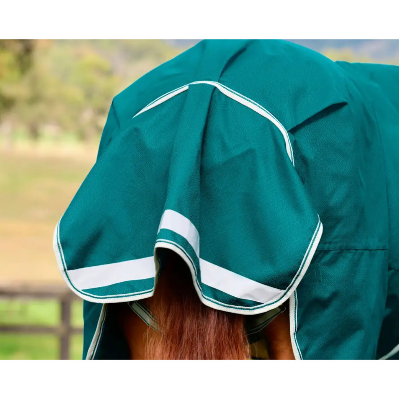 WeatherBeeta ComFiTec Plus Dynamic II Standard Neck Lite Turnout Rug - Green/Stone/Teal Green-6