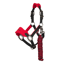 LeMieux Mini Vogue Headcollar And Leadrope - Chilli