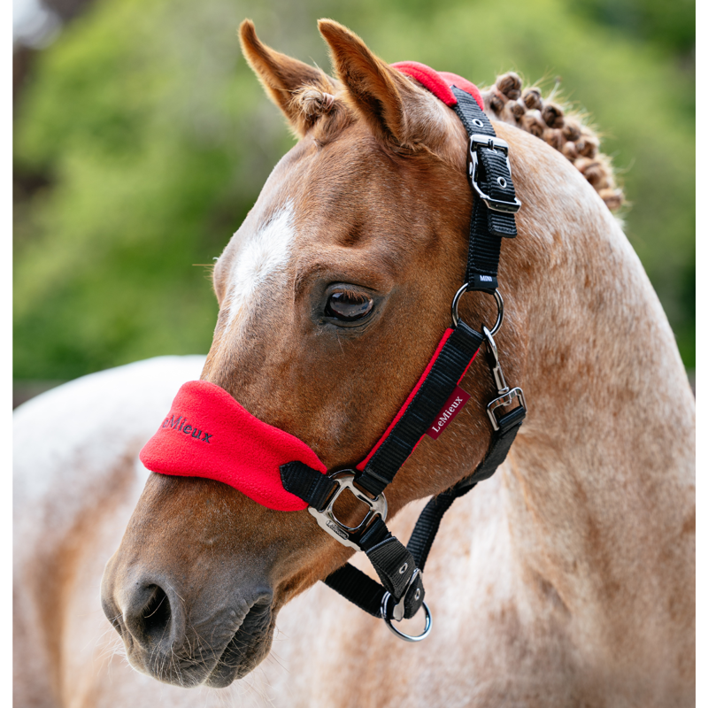 LeMieux Mini Vogue Headcollar And Leadrope - Chilli-1