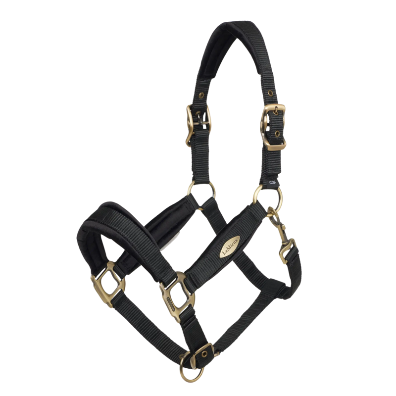 LeMieux Versailles Headcollar - Black