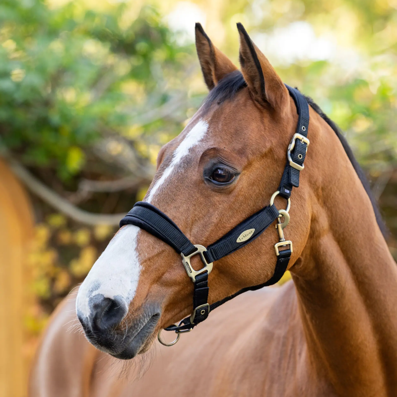 LeMieux Versailles Headcollar - Black-1