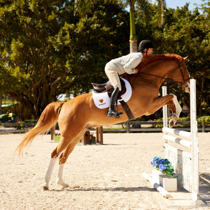 Ariat Men's Devon Tall Riding Boot - Slim Medium - Black-7