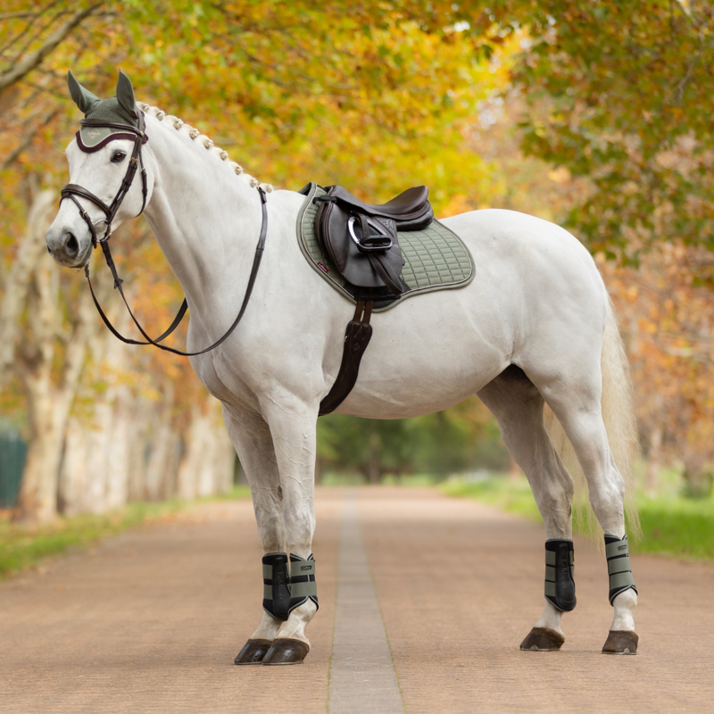 LeMieux Suede Close Contact Square - Rosemary-3