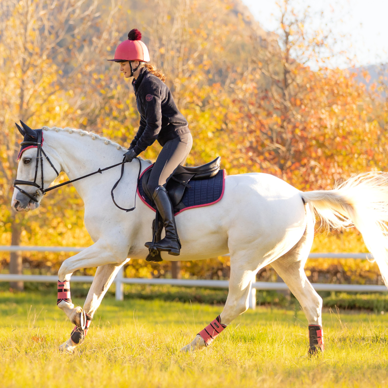 LeMieux Suede Close Contact Square - Navy/Cranberry-4
