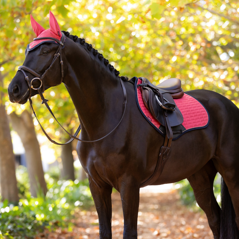 LeMieux Suede Close Contact Square - Cranberry-1