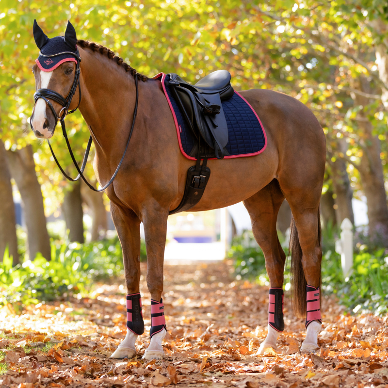 LeMieux Suede Dressage Square - Navy/Cranberry-4