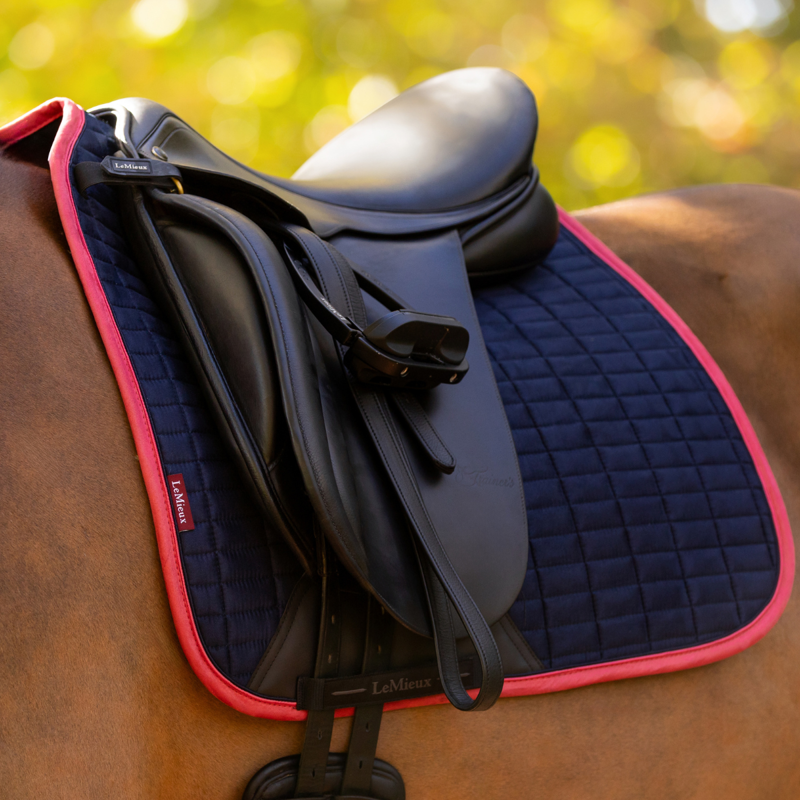 LeMieux Suede Dressage Square - Navy/Cranberry-1