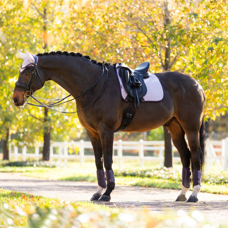 LeMieux Suede Dressage Square - Lilac-3