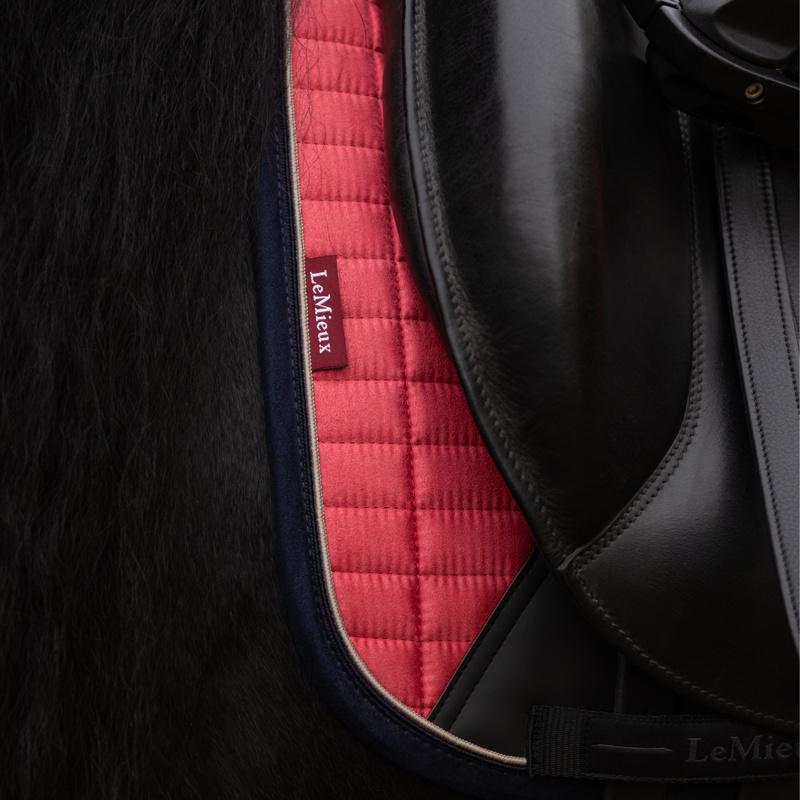 LeMieux Suede Dressage Square - Cranberry-4